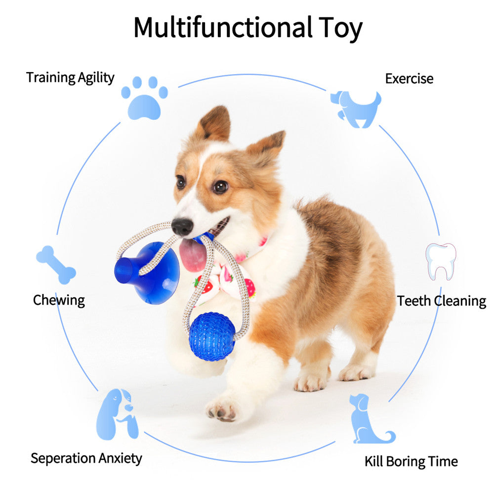 Taça de Sucção Dog Toy