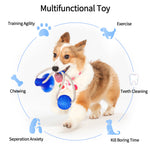 Taça de Sucção Dog Toy